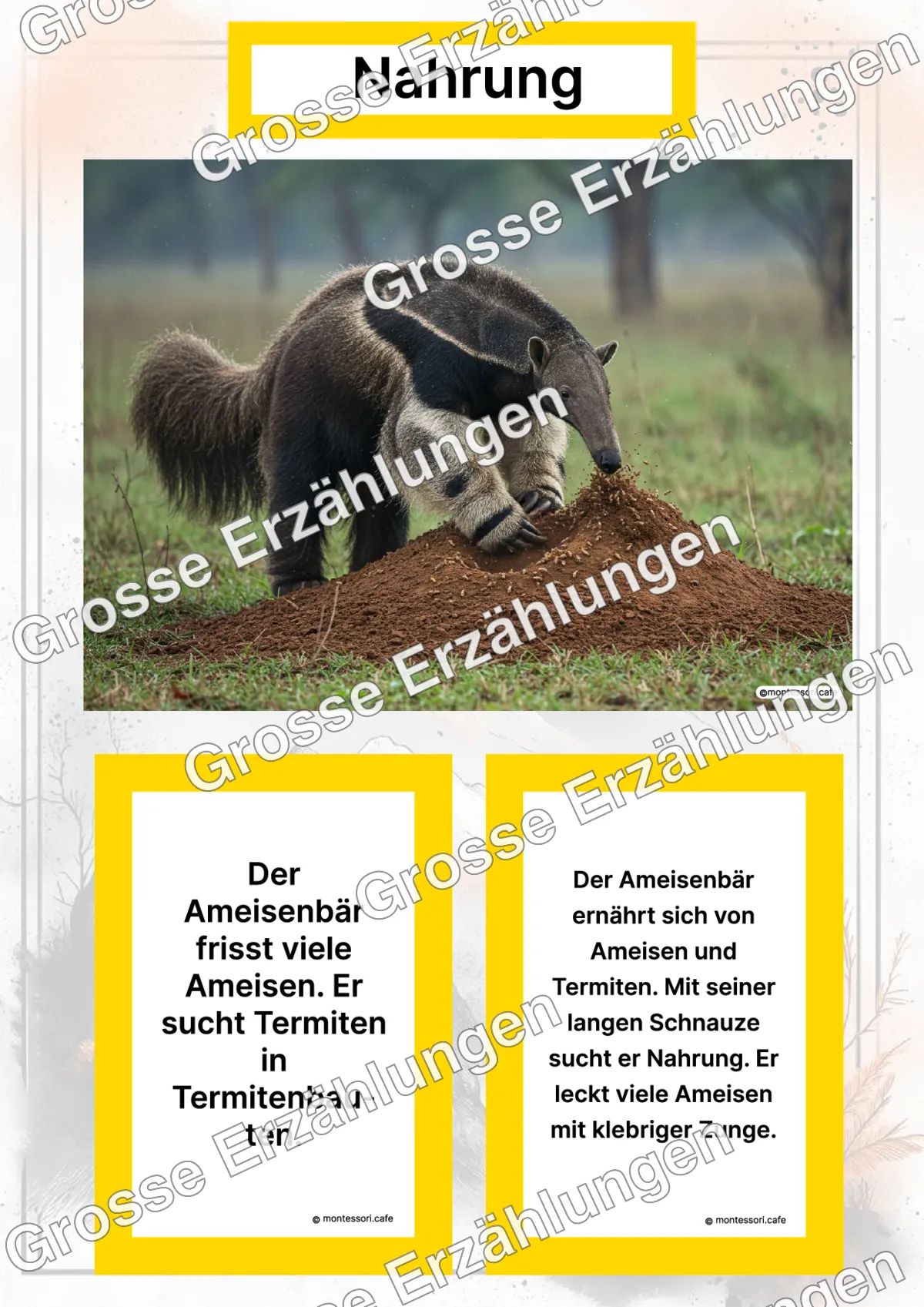 Der Ameisenbär - Lernkarten - Titelseite und Übersicht des Kommen des Lebens Lernmaterials