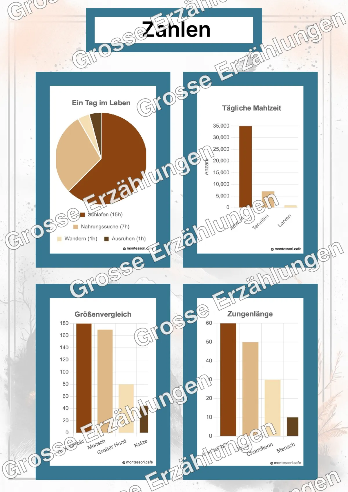 Der Ameisenbär - Lernkarten - Beispielseite 4 von 5 mit Kommen des Lebens Inhalten