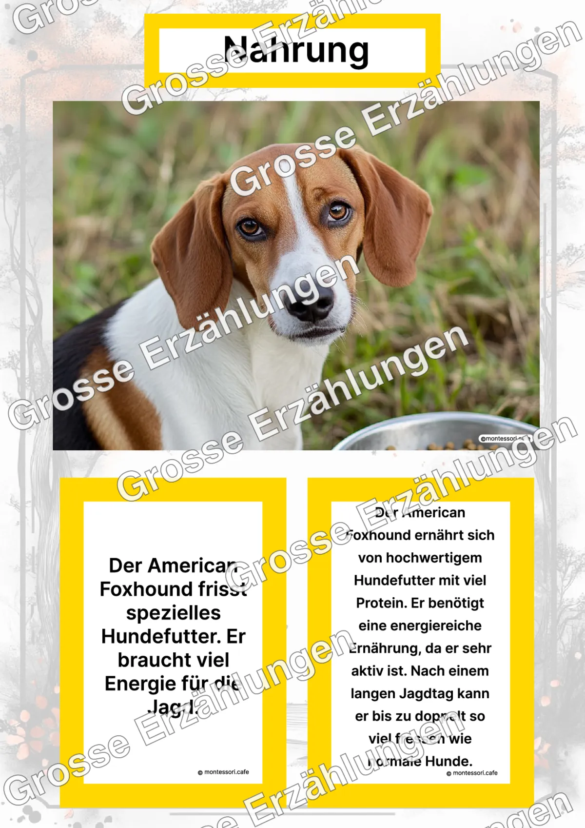 Der American Foxhound - Lernkarten - Titelseite und Übersicht des Kommen des Lebens Lernmaterials