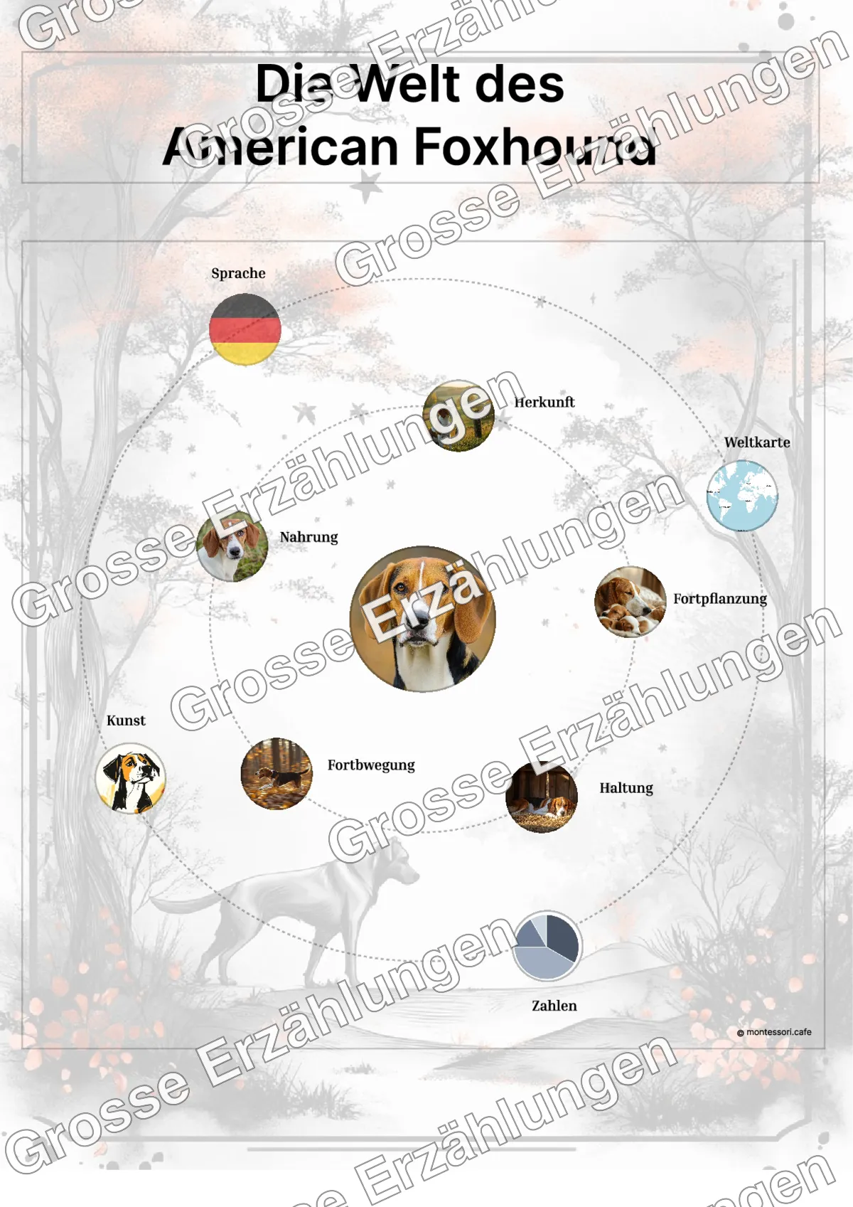 Der American Foxhound - Lernkarten - Beispielseite 3 von 5 mit Kommen des Lebens Inhalten