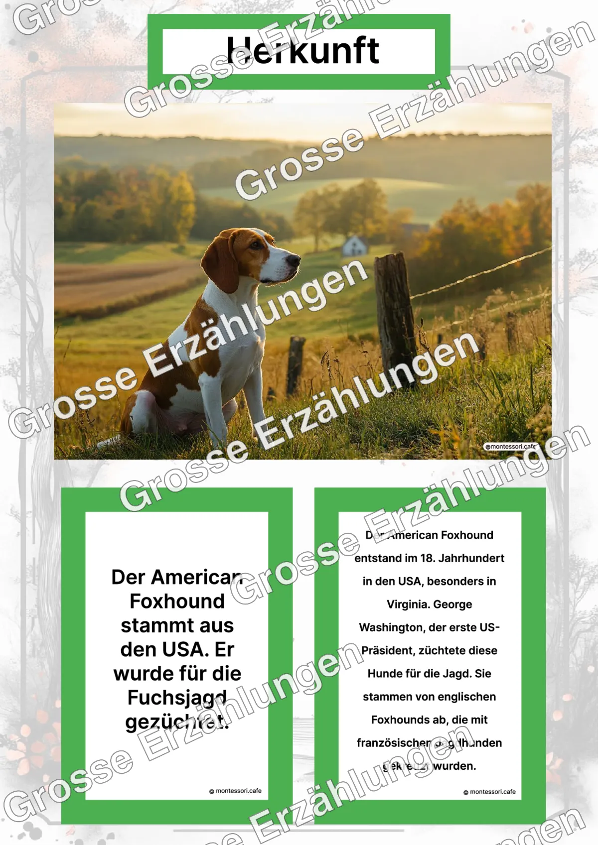 Der American Foxhound - Lernkarten - Letzte Vorschauseite des PDF-Downloads