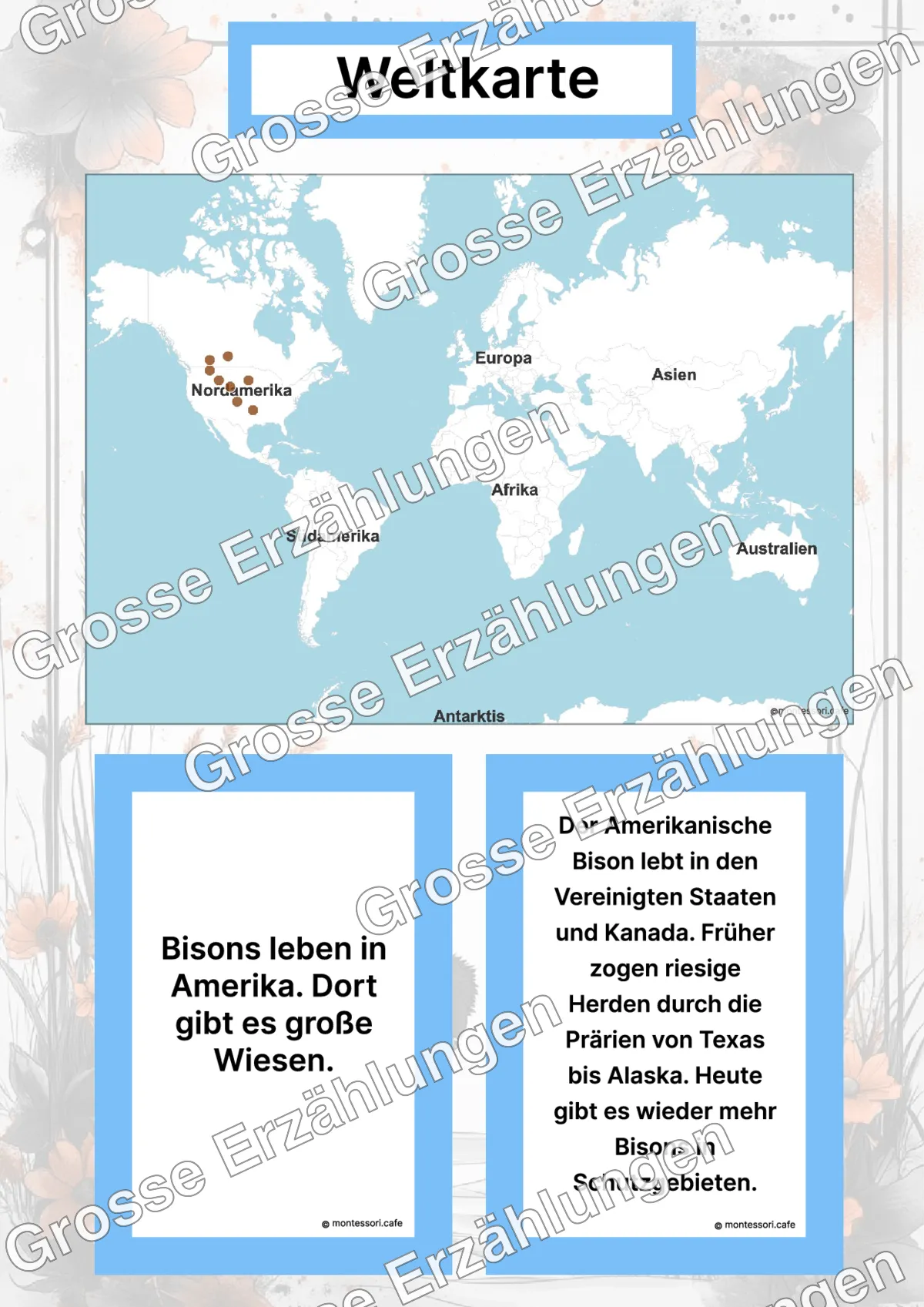 Der Amerikanische Bison - Lernkarten - Inhaltsbeispiel Seite 2 mit Montessori Lehrmaterial