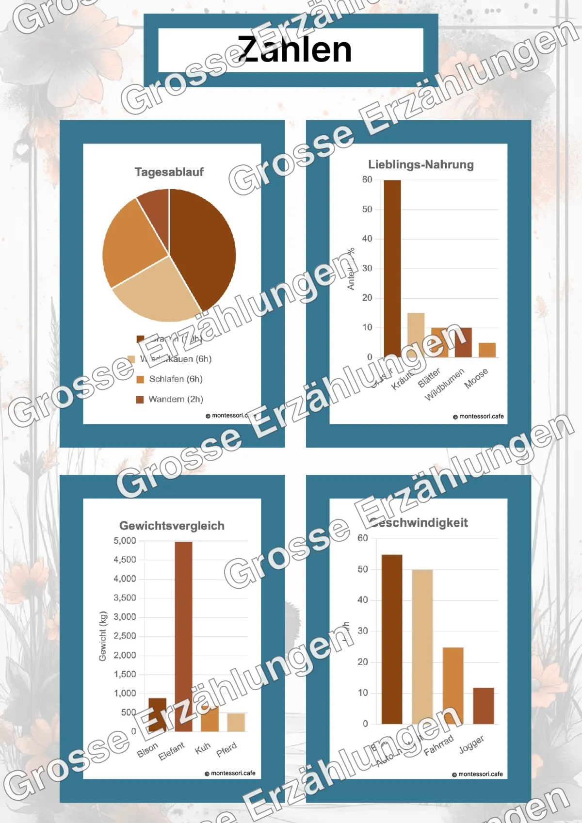 Der Amerikanische Bison - Lernkarten - Beispielseite 4 von 5 mit Kommen des Lebens Inhalten