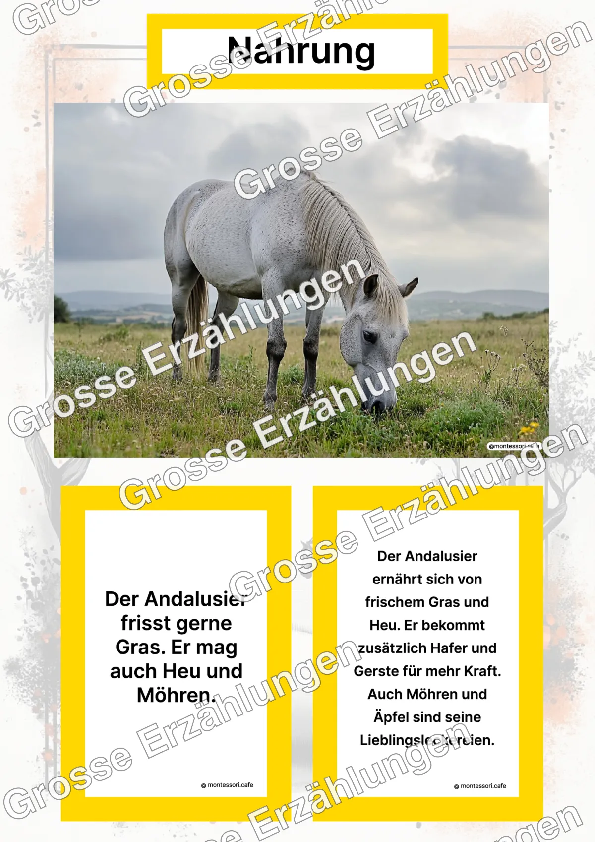 Der Andalusier - Lernkarten - Titelseite und Übersicht des Kommen des Lebens Lernmaterials