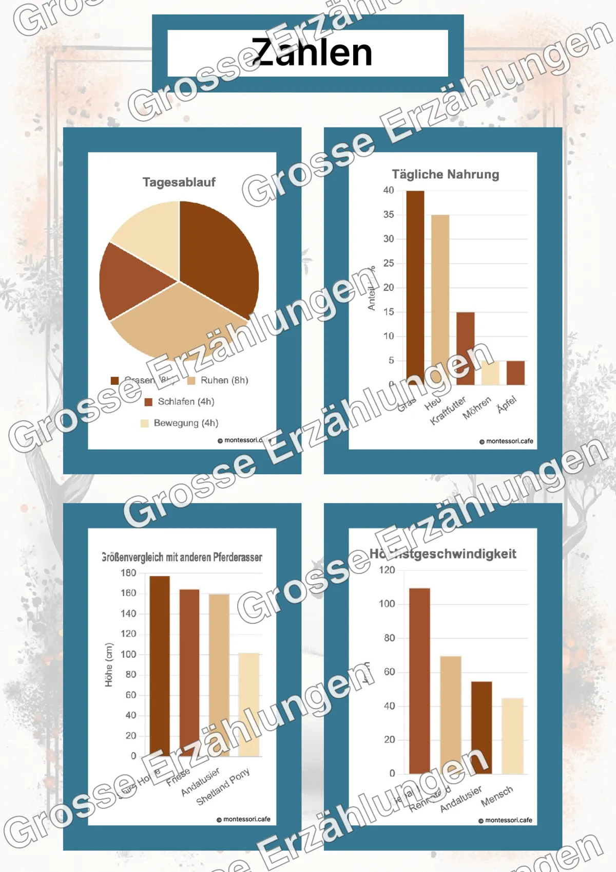 Der Andalusier - Lernkarten - Beispielseite 4 von 5 mit Kommen des Lebens Inhalten