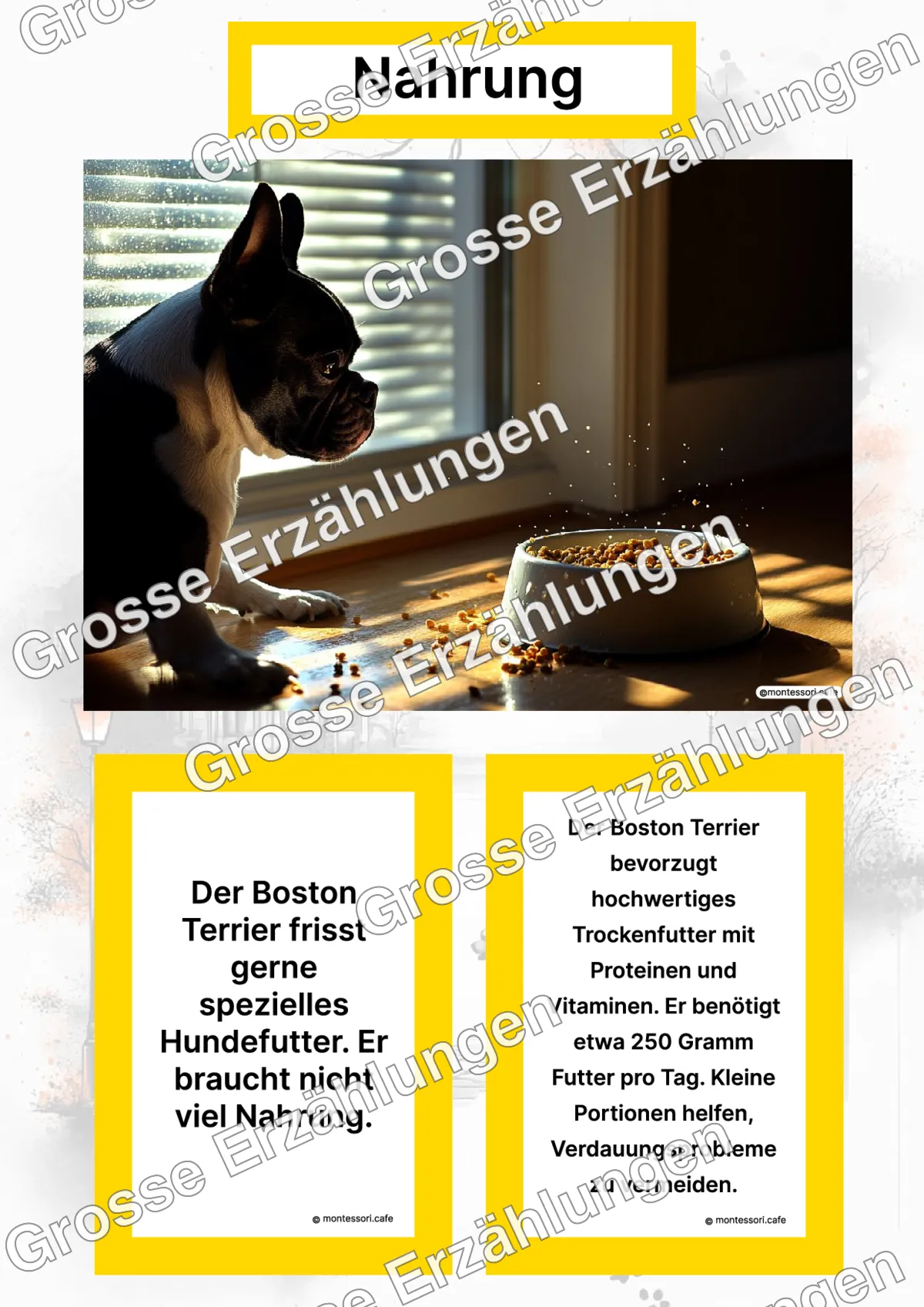 Der Boston Terrier - Lernkarten - Titelseite und Übersicht des Kommen des Lebens Lernmaterials