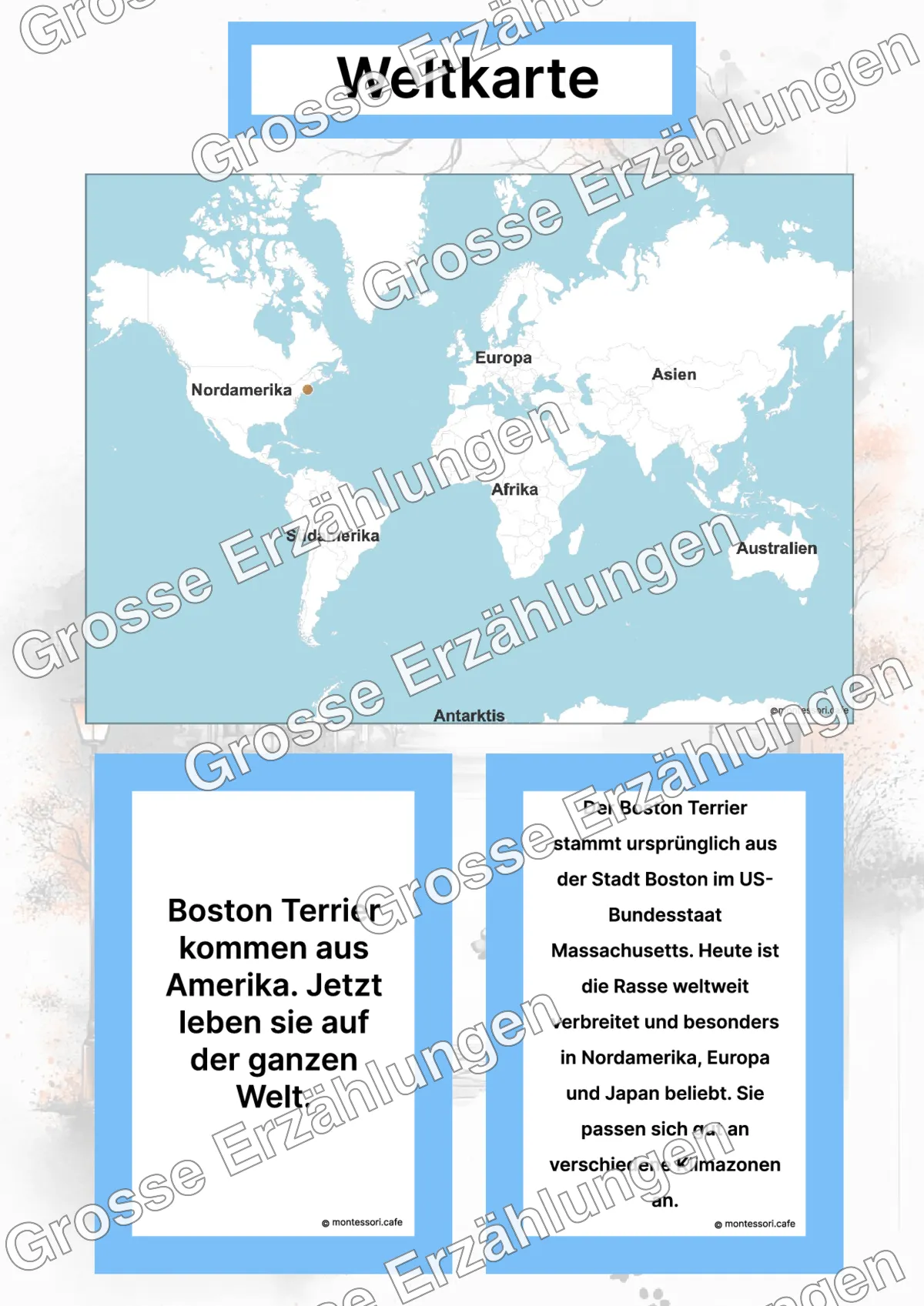 Der Boston Terrier - Lernkarten - Inhaltsbeispiel Seite 2 mit Montessori Lehrmaterial