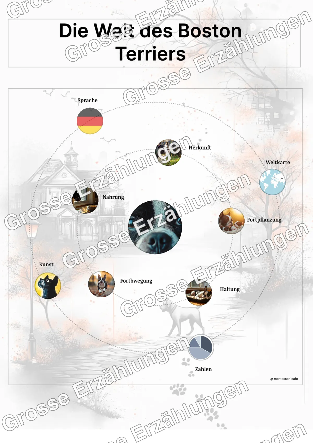 Der Boston Terrier - Lernkarten - Beispielseite 3 von 5 mit Kommen des Lebens Inhalten