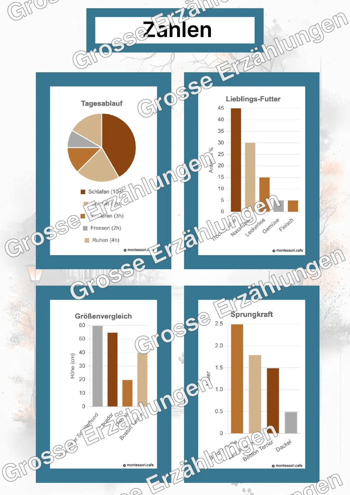 Der Boston Terrier - Lernkarten - Beispielseite 4 von 5 mit Kommen des Lebens Inhalten