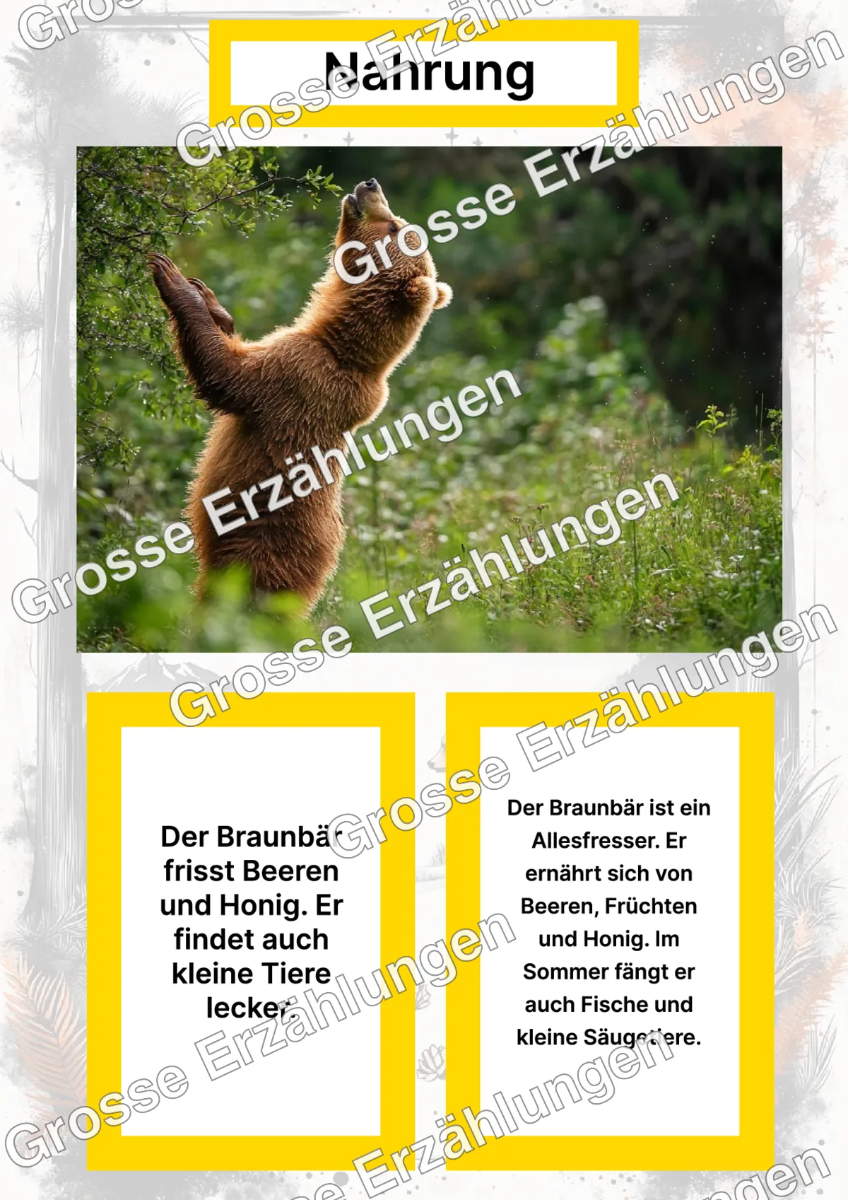Der Braunbär - Lernkarten - Titelseite und Übersicht des Kommen des Lebens Lernmaterials