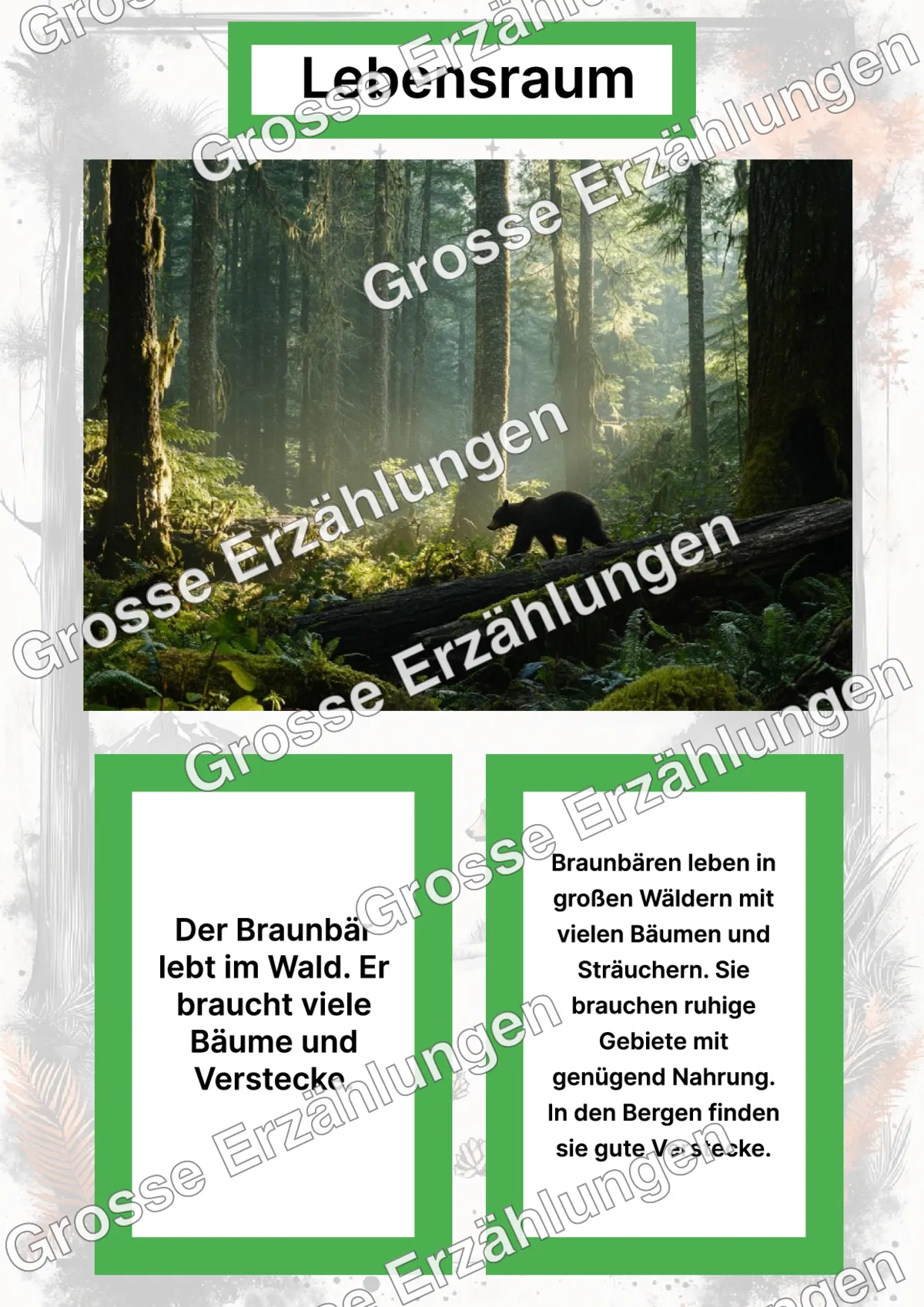Der Braunbär - Lernkarten - Letzte Vorschauseite des PDF-Downloads