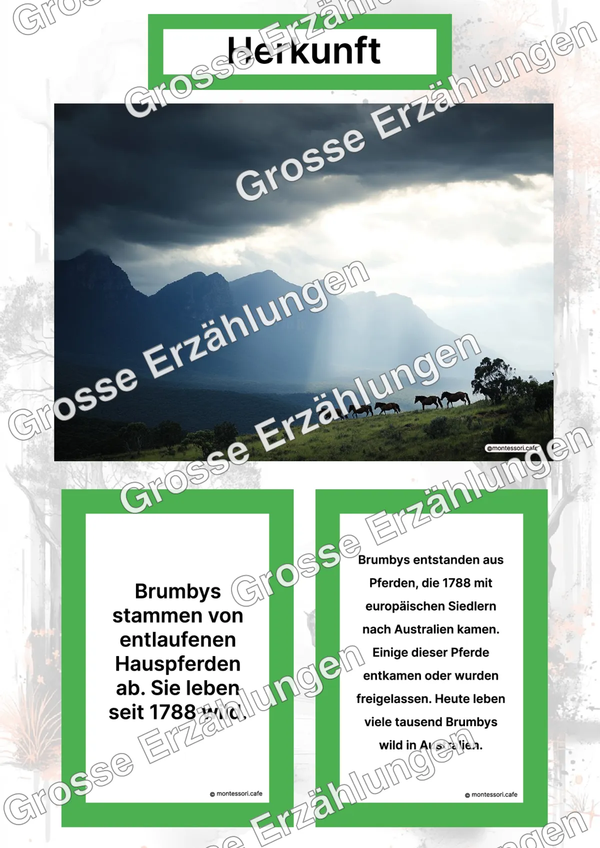 Der Brumby - Ganzheitliche Lernkarten - Letzte Vorschauseite des PDF-Downloads