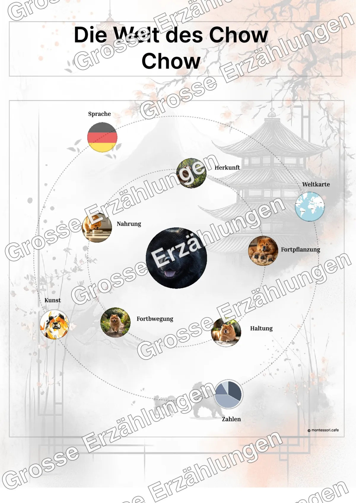 Der Chow Chow - Lernkarten - Beispielseite 3 von 5 mit Kommen des Lebens Inhalten