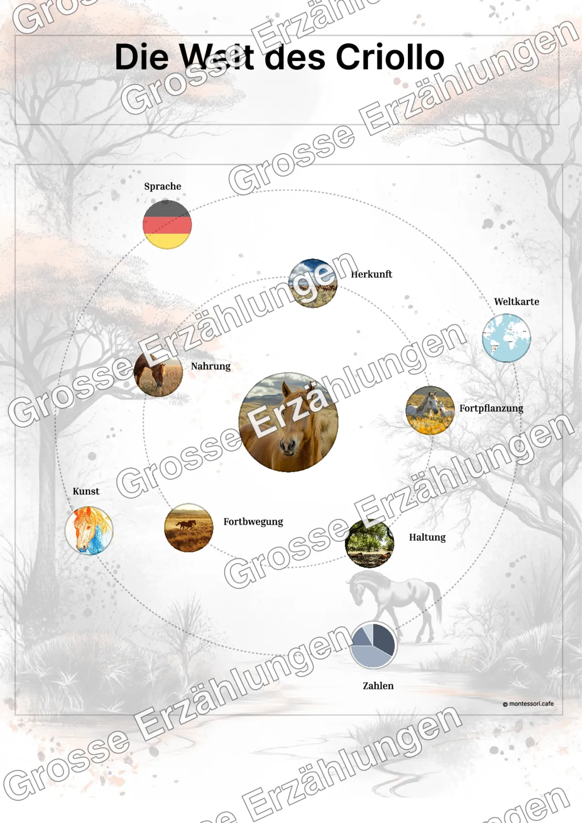 Der Criollo - Lernkarten - Beispielseite 3 von 5 mit Kommen des Lebens Inhalten