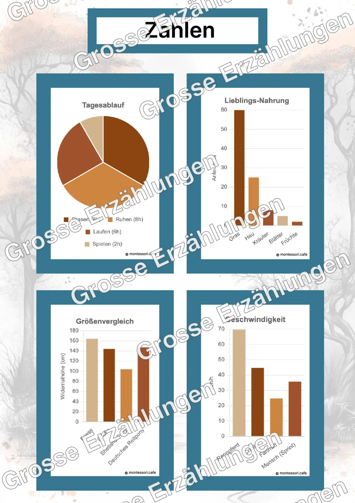 Der Criollo - Lernkarten - Beispielseite 4 von 5 mit Kommen des Lebens Inhalten