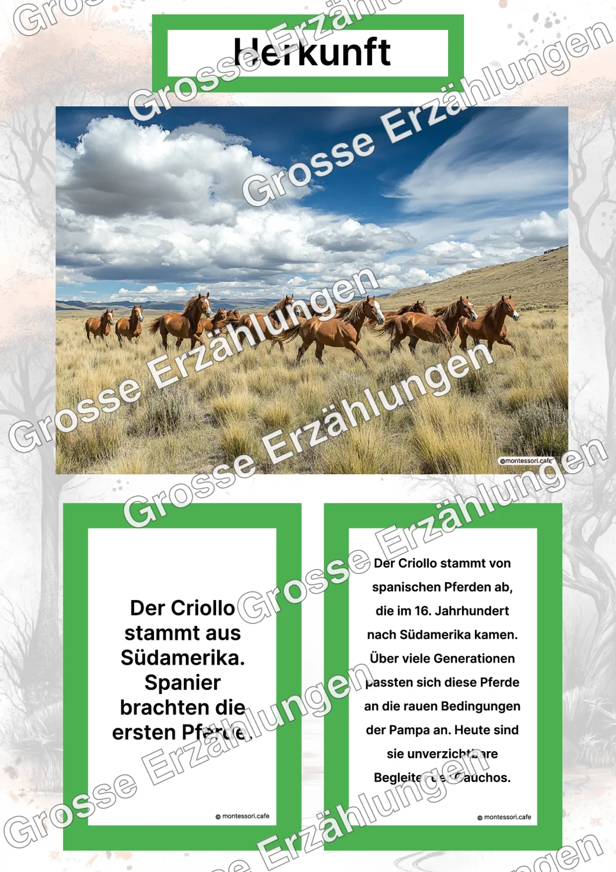 Der Criollo - Lernkarten - Letzte Vorschauseite des PDF-Downloads