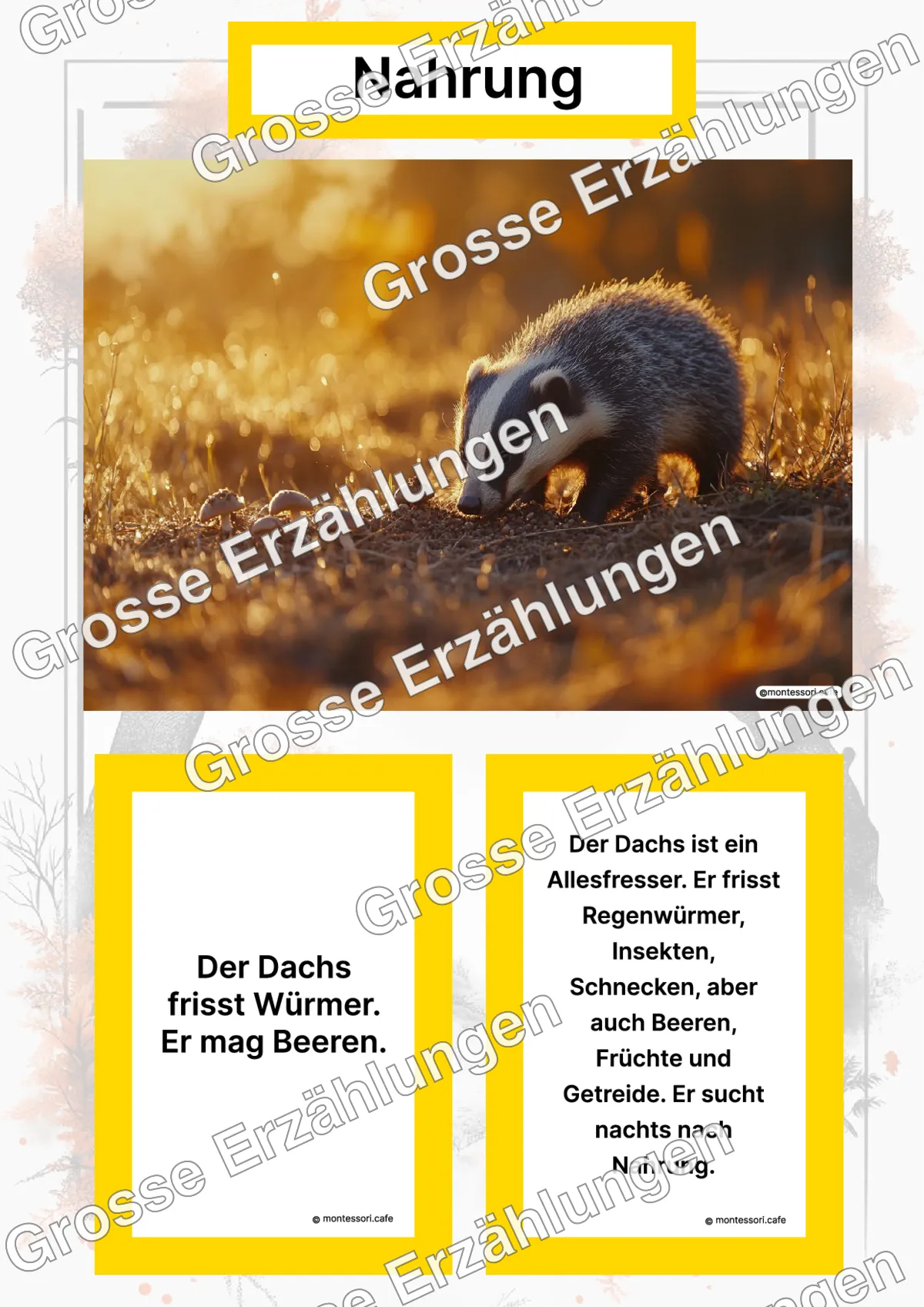 Der Dachs - Lernkarten - Titelseite und Übersicht des Kommen des Lebens Lernmaterials