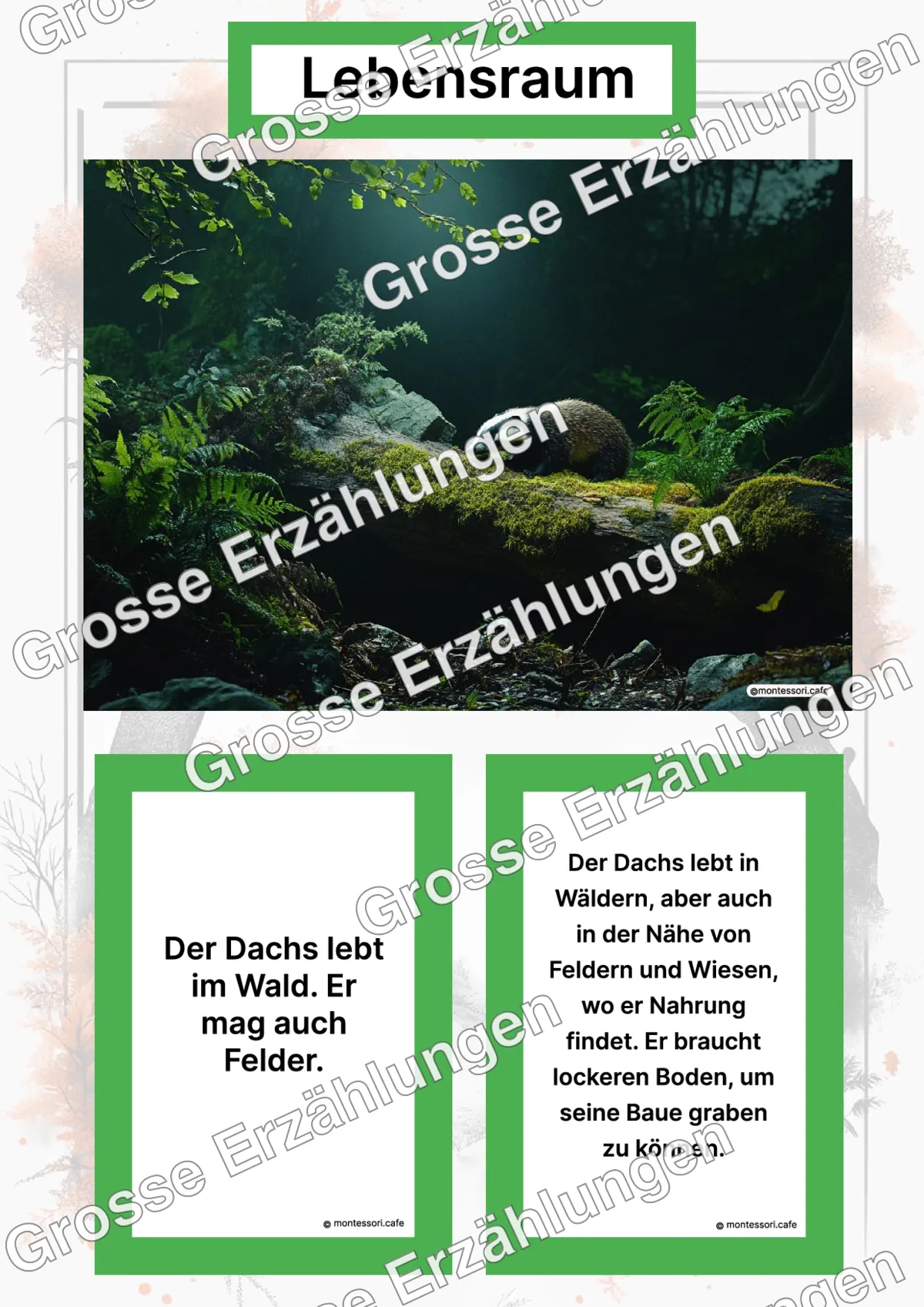 Der Dachs - Lernkarten - Letzte Vorschauseite des PDF-Downloads