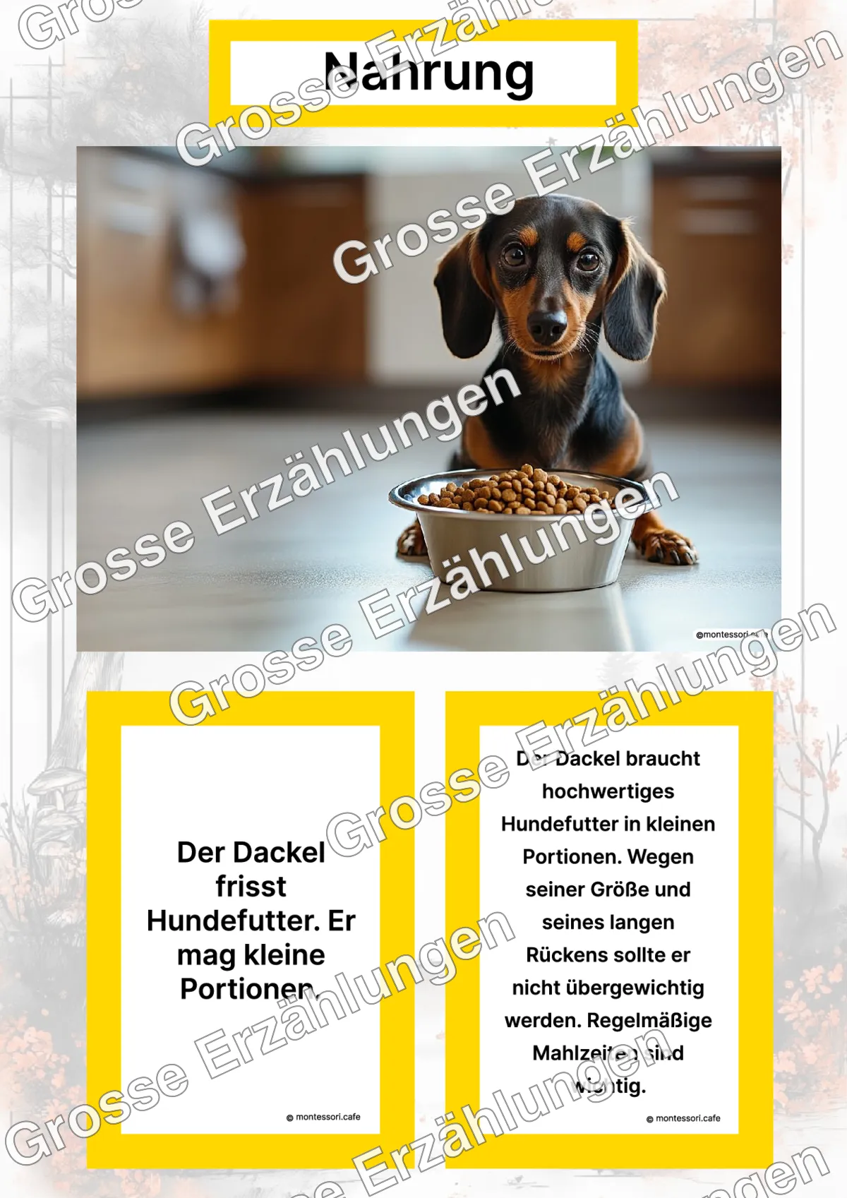 Der Dackel - Lernkarten - Titelseite und Übersicht des Kommen des Lebens Lernmaterials