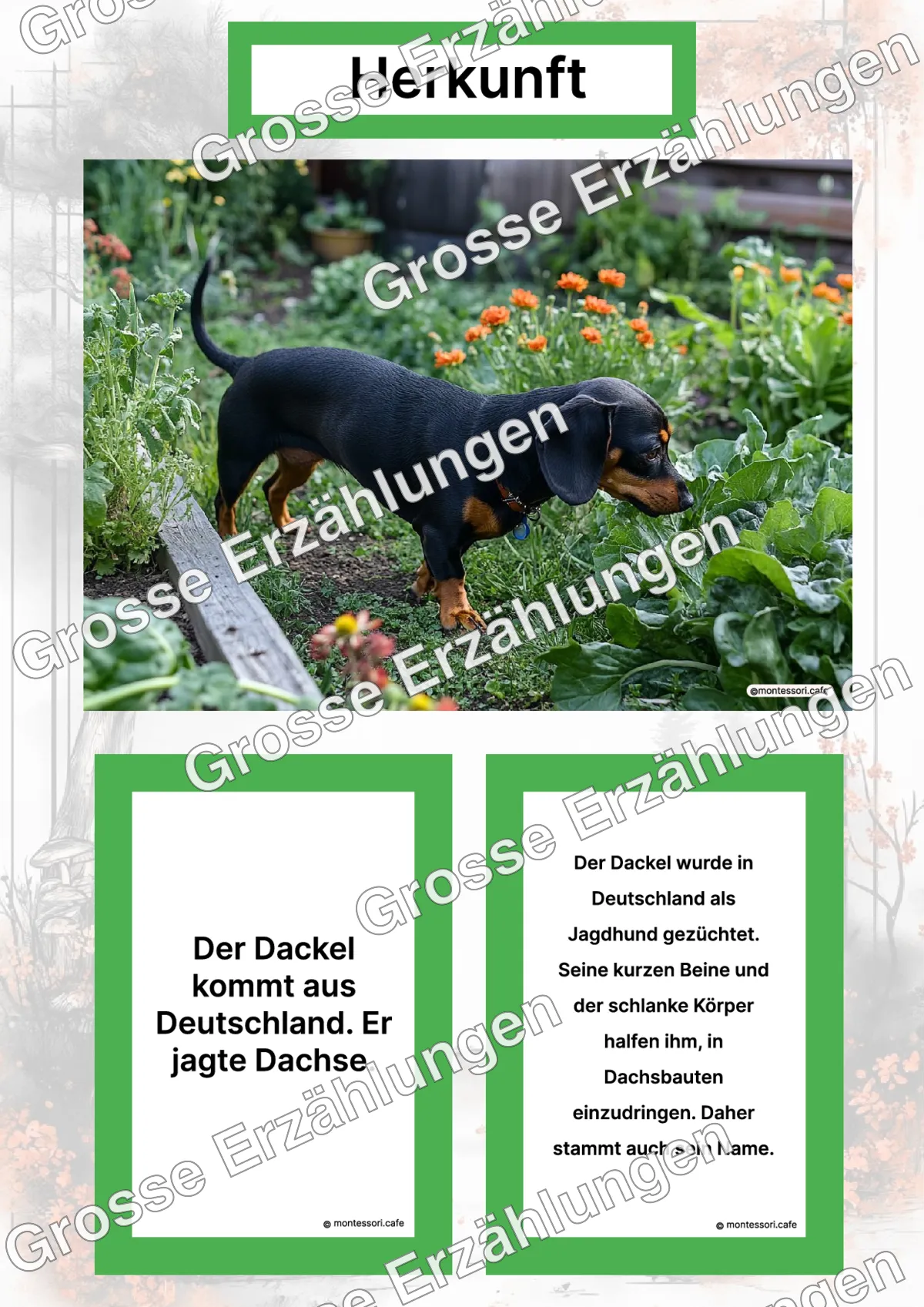 Der Dackel - Lernkarten - Letzte Vorschauseite des PDF-Downloads