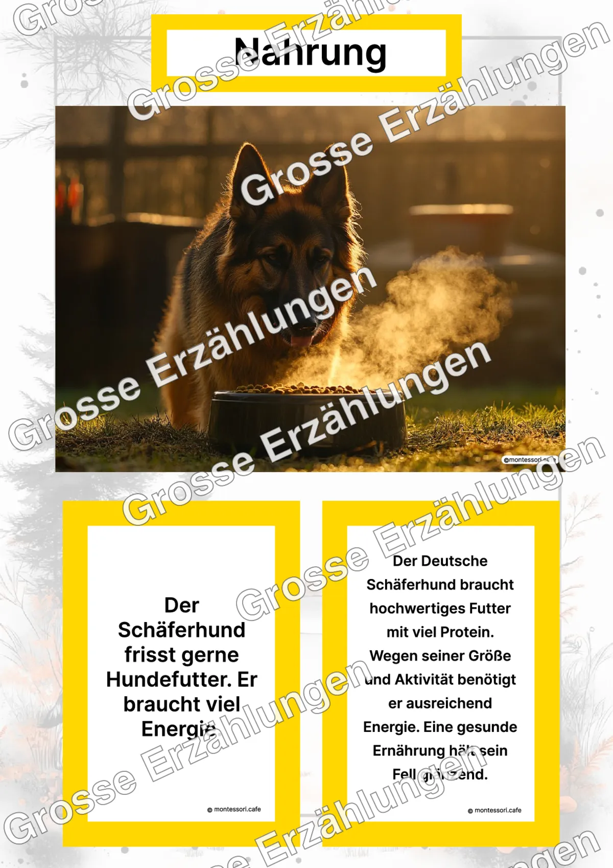 Der Deutsche Schäferhund - Lernkarten - Titelseite und Übersicht des Kommen des Lebens Lernmaterials