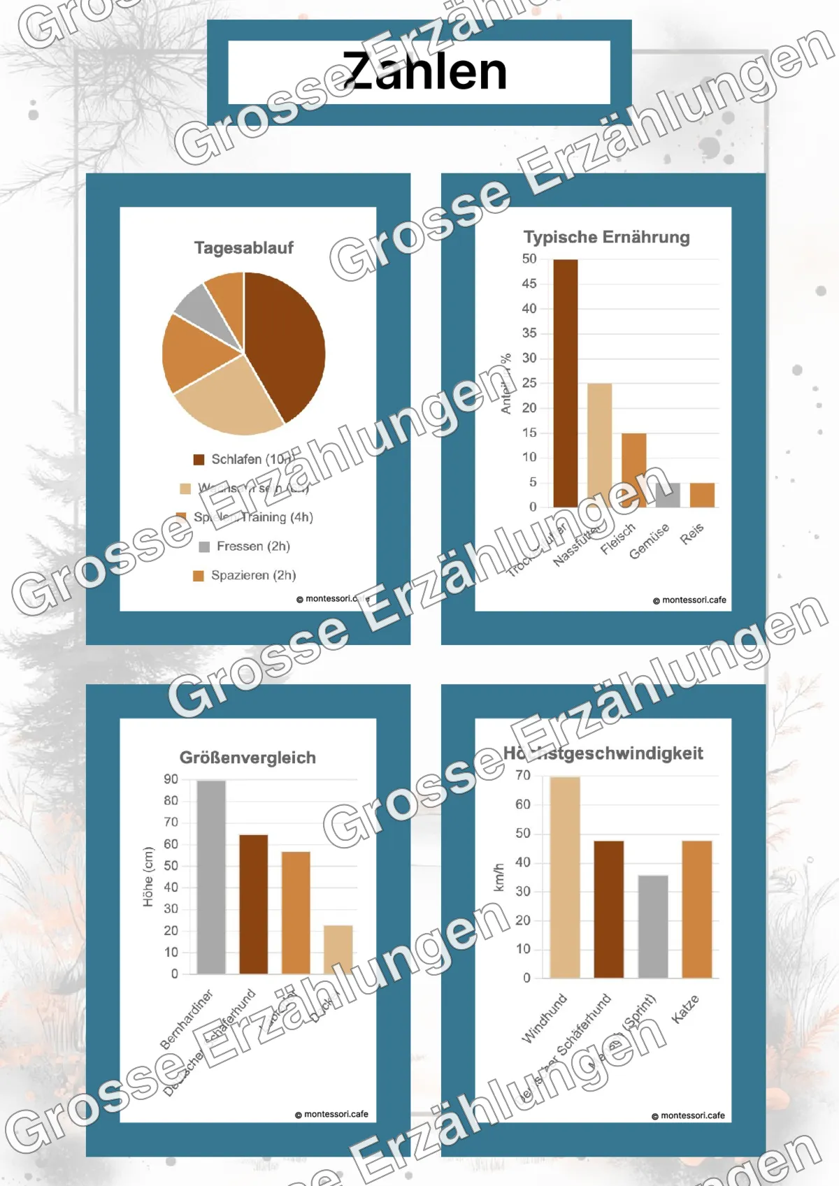 Der Deutsche Schäferhund - Lernkarten - Beispielseite 4 von 5 mit Kommen des Lebens Inhalten