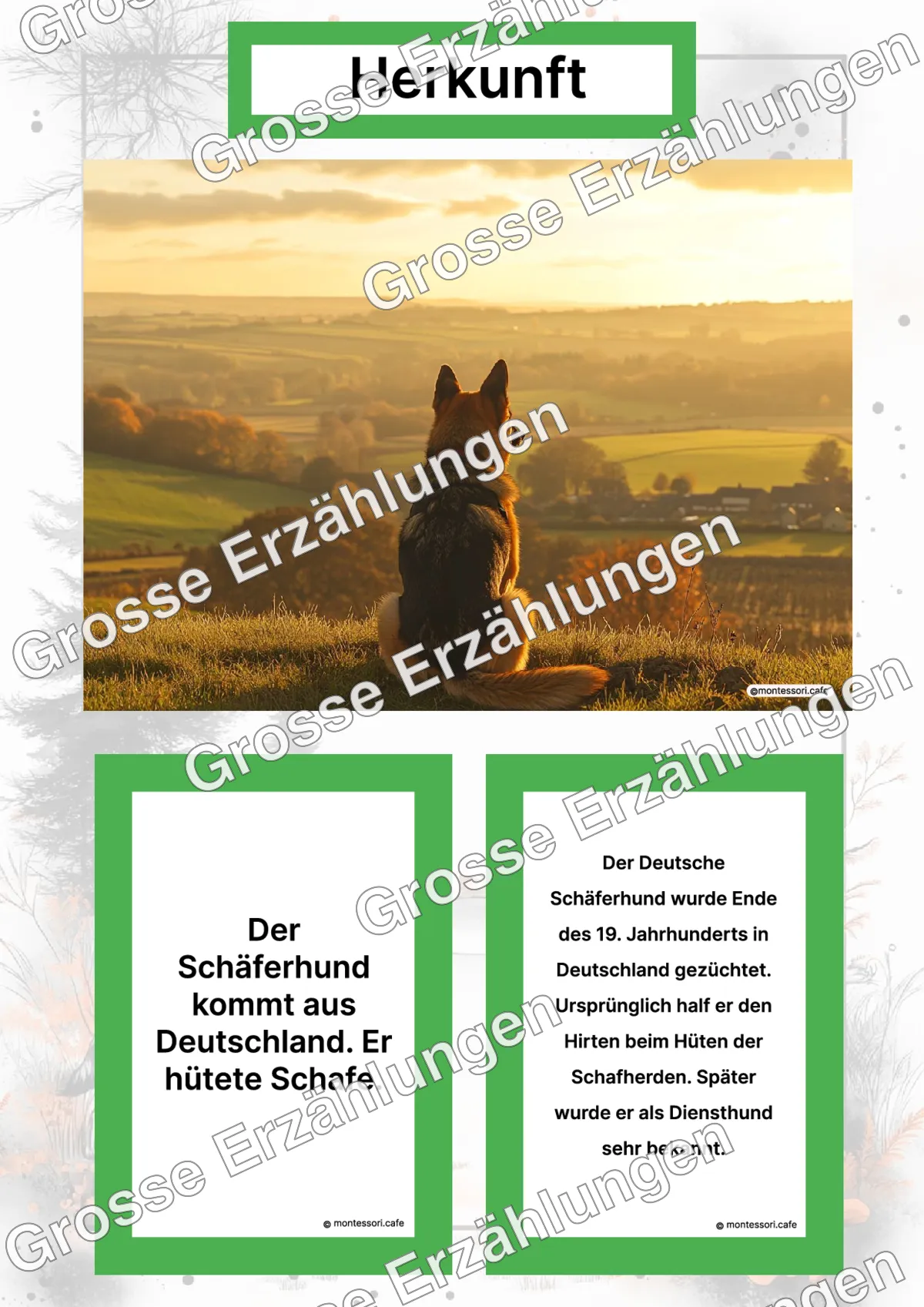 Der Deutsche Schäferhund - Lernkarten - Letzte Vorschauseite des PDF-Downloads