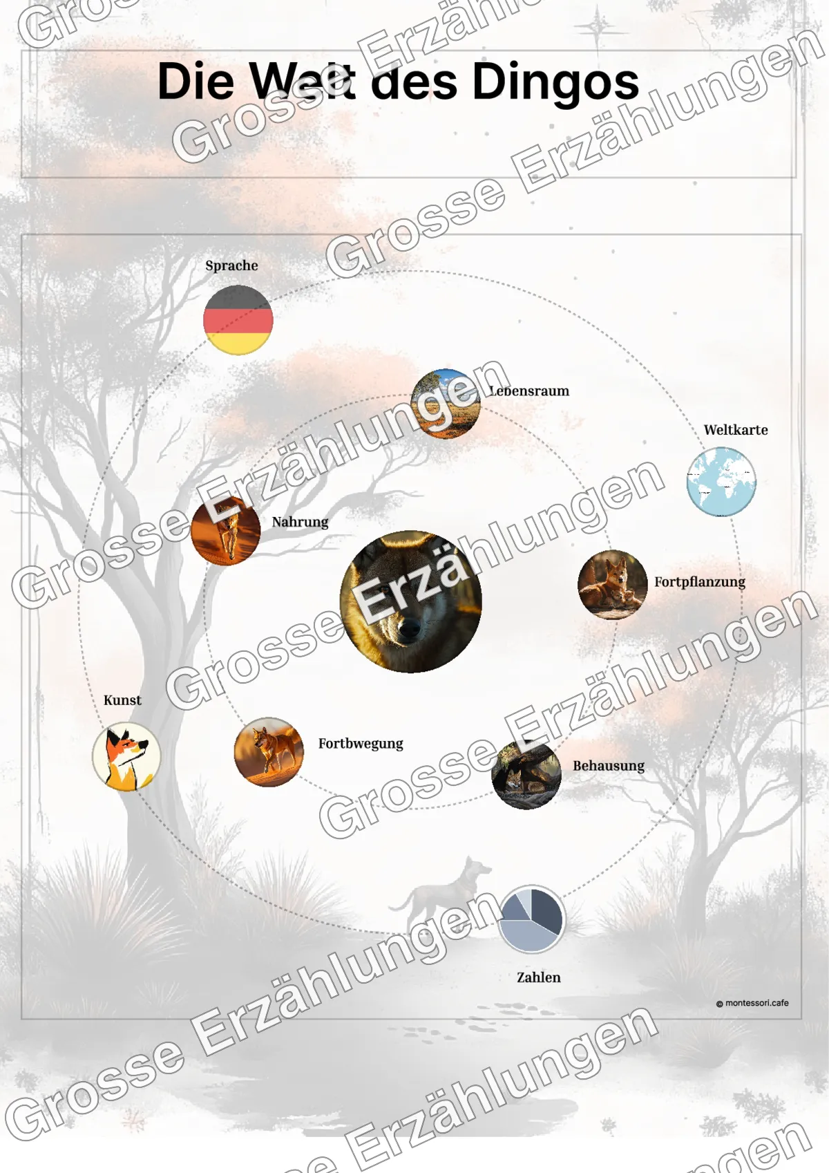 Der Dingo - Lernkarten - Beispielseite 3 von 5 mit Kommen des Lebens Inhalten