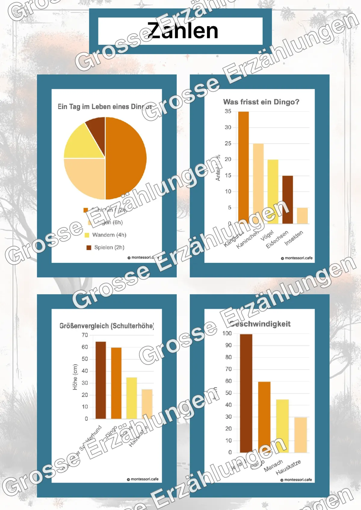 Der Dingo - Lernkarten - Beispielseite 4 von 5 mit Kommen des Lebens Inhalten