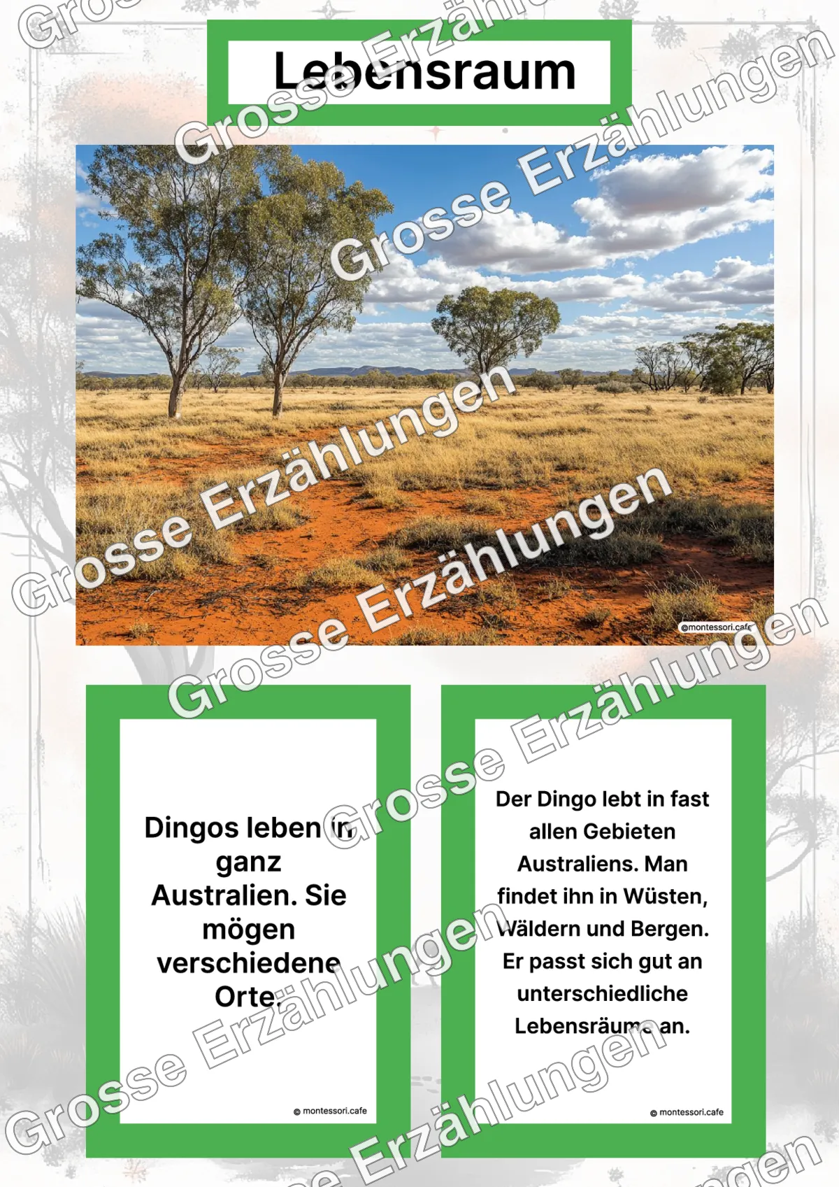 Der Dingo - Lernkarten - Letzte Vorschauseite des PDF-Downloads