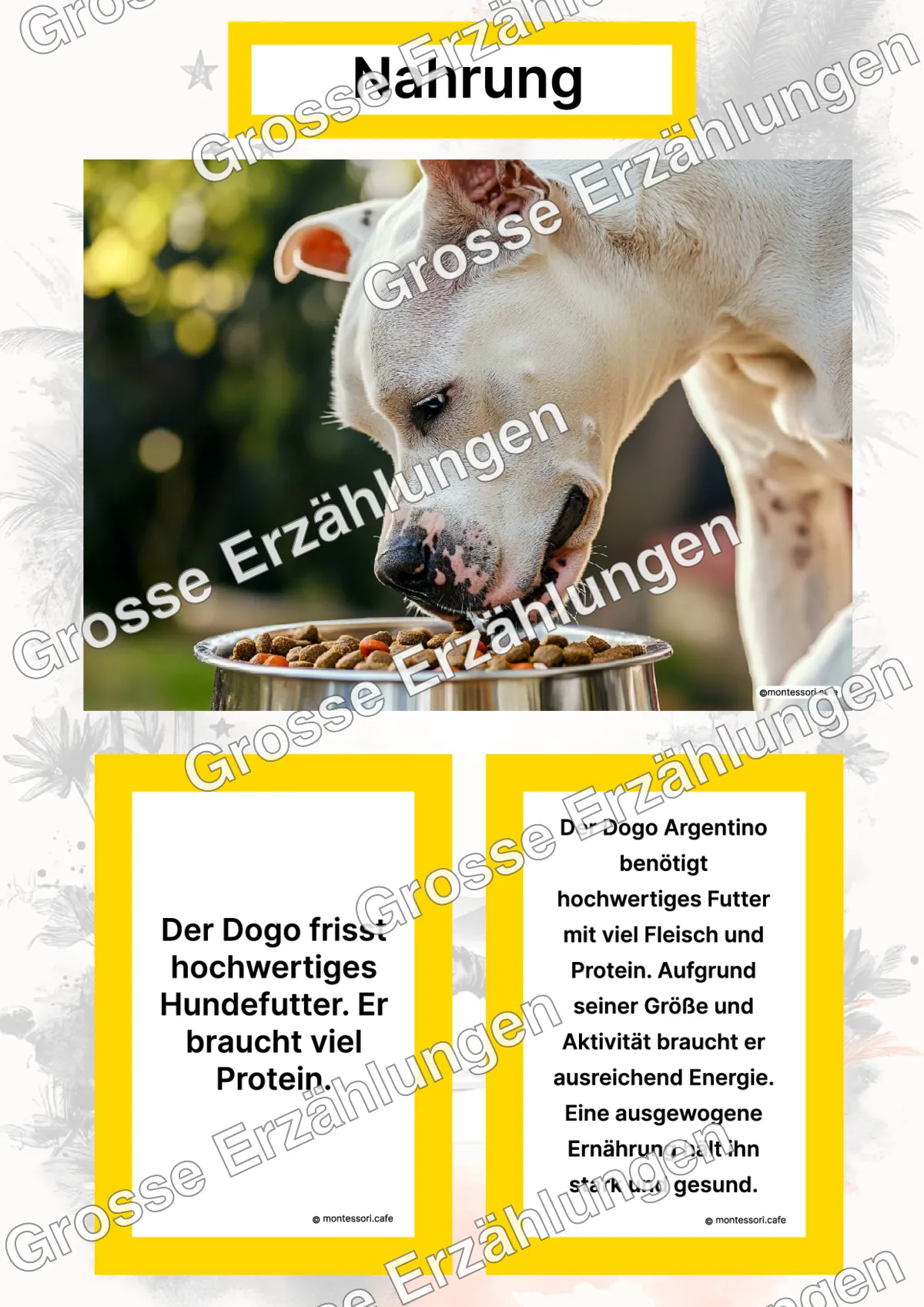 Der Dogo Argentino - Lernkarten - Titelseite und Übersicht des Kommen des Lebens Lernmaterials