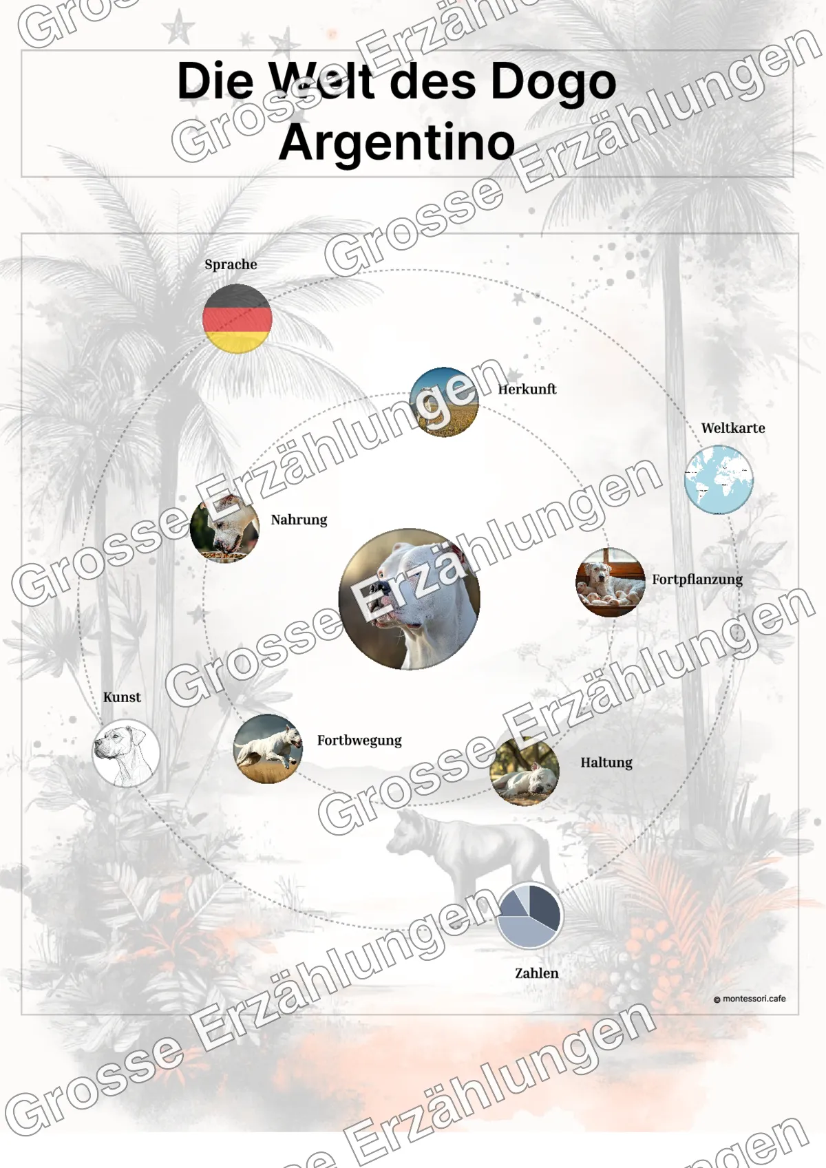 Der Dogo Argentino - Lernkarten - Beispielseite 3 von 5 mit Kommen des Lebens Inhalten
