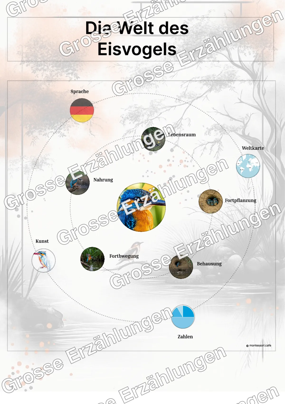 Der Eisvogel - Lernkarten - Beispielseite 3 von 5 mit Kommen des Lebens Inhalten