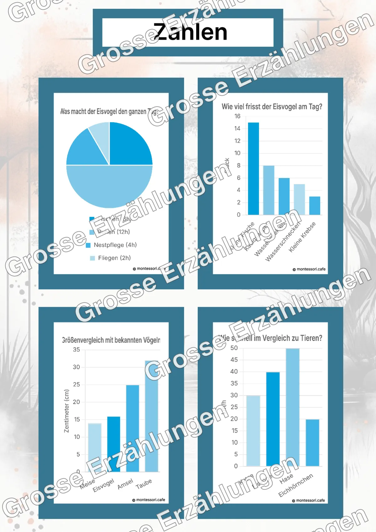 Der Eisvogel - Lernkarten - Beispielseite 4 von 5 mit Kommen des Lebens Inhalten
