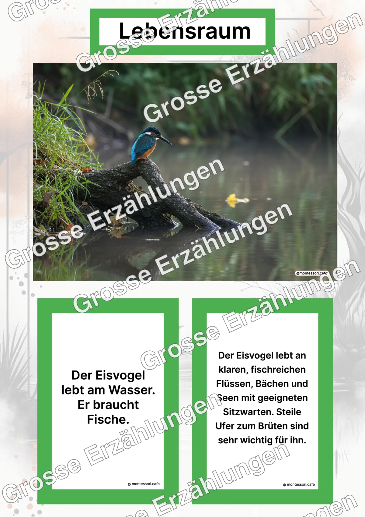 Der Eisvogel - Lernkarten - Letzte Vorschauseite des PDF-Downloads