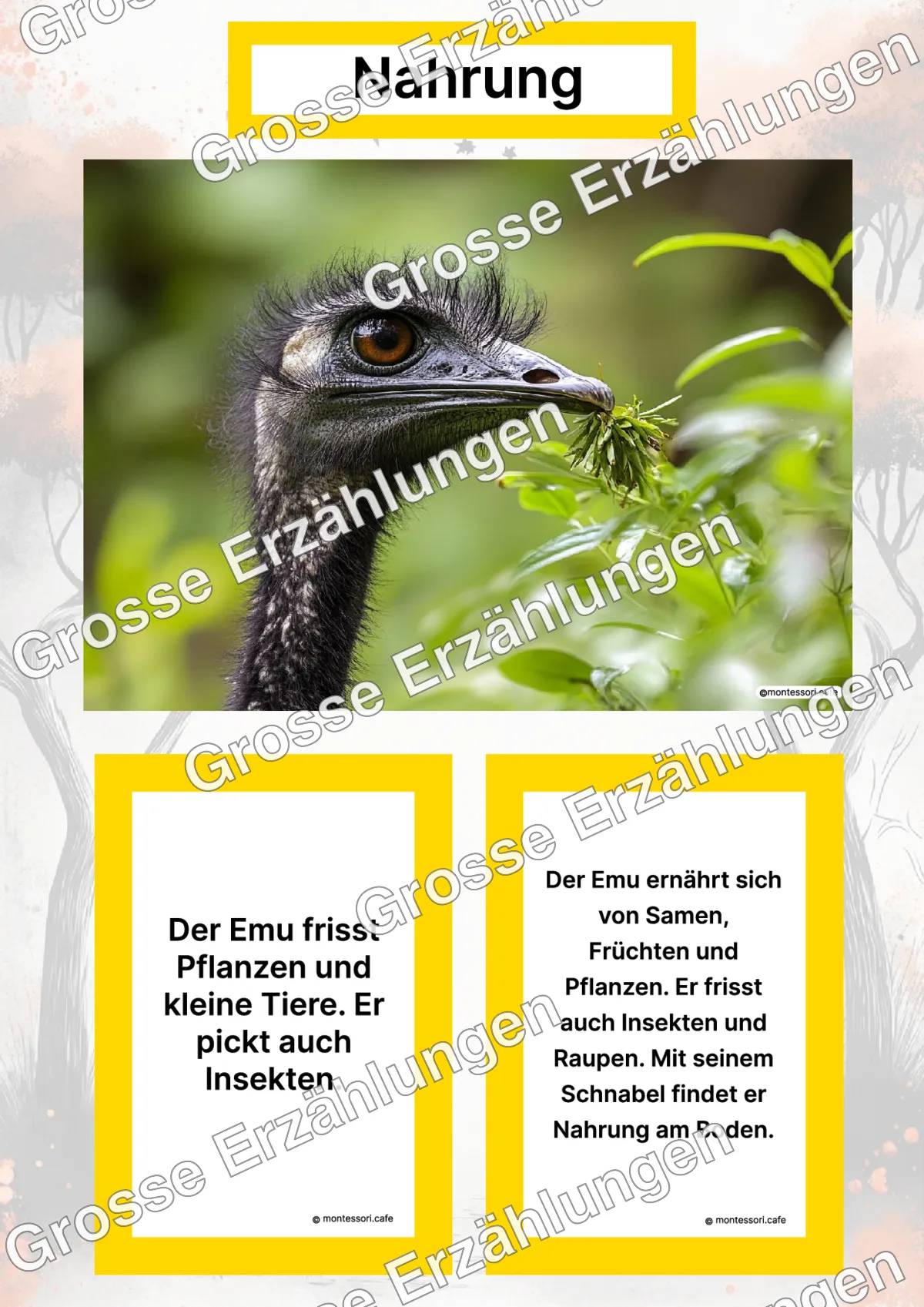 Der Emu - Lernkarten - Titelseite und Übersicht des Kommen des Lebens Lernmaterials