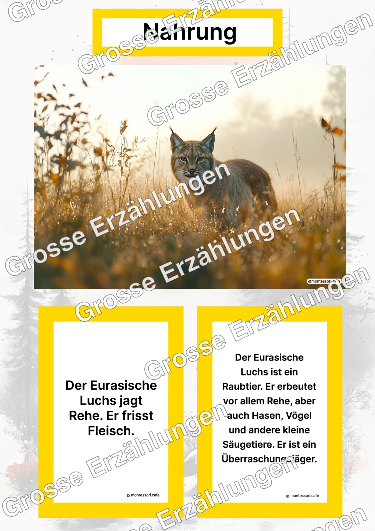 Der Eurasische Luchs - Lernkarten - Titelseite und Übersicht des Kommen des Lebens Lernmaterials