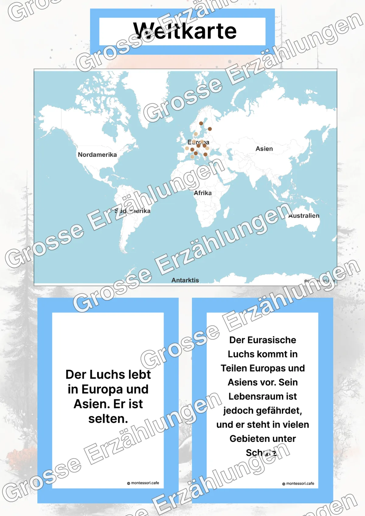 Der Eurasische Luchs - Lernkarten - Inhaltsbeispiel Seite 2 mit Montessori Lehrmaterial