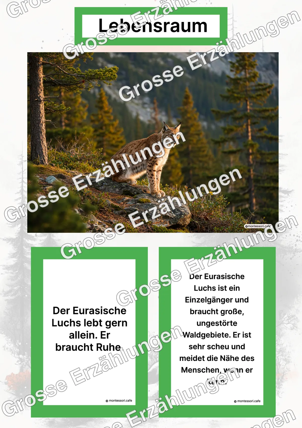 Der Eurasische Luchs - Lernkarten - Letzte Vorschauseite des PDF-Downloads