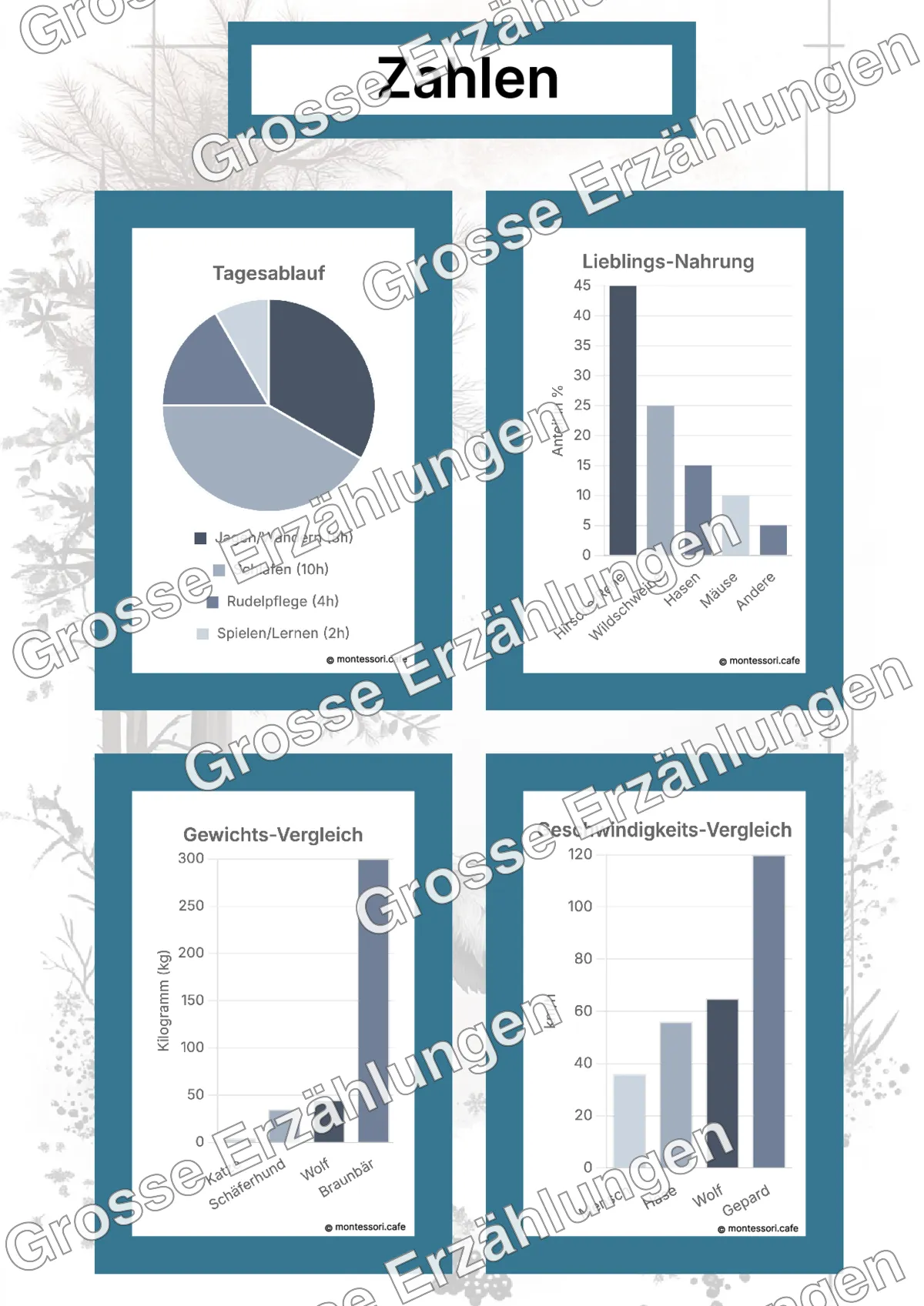 Der Eurasische Wolf - Lernkarten - Beispielseite 4 von 5 mit Kommen des Lebens Inhalten