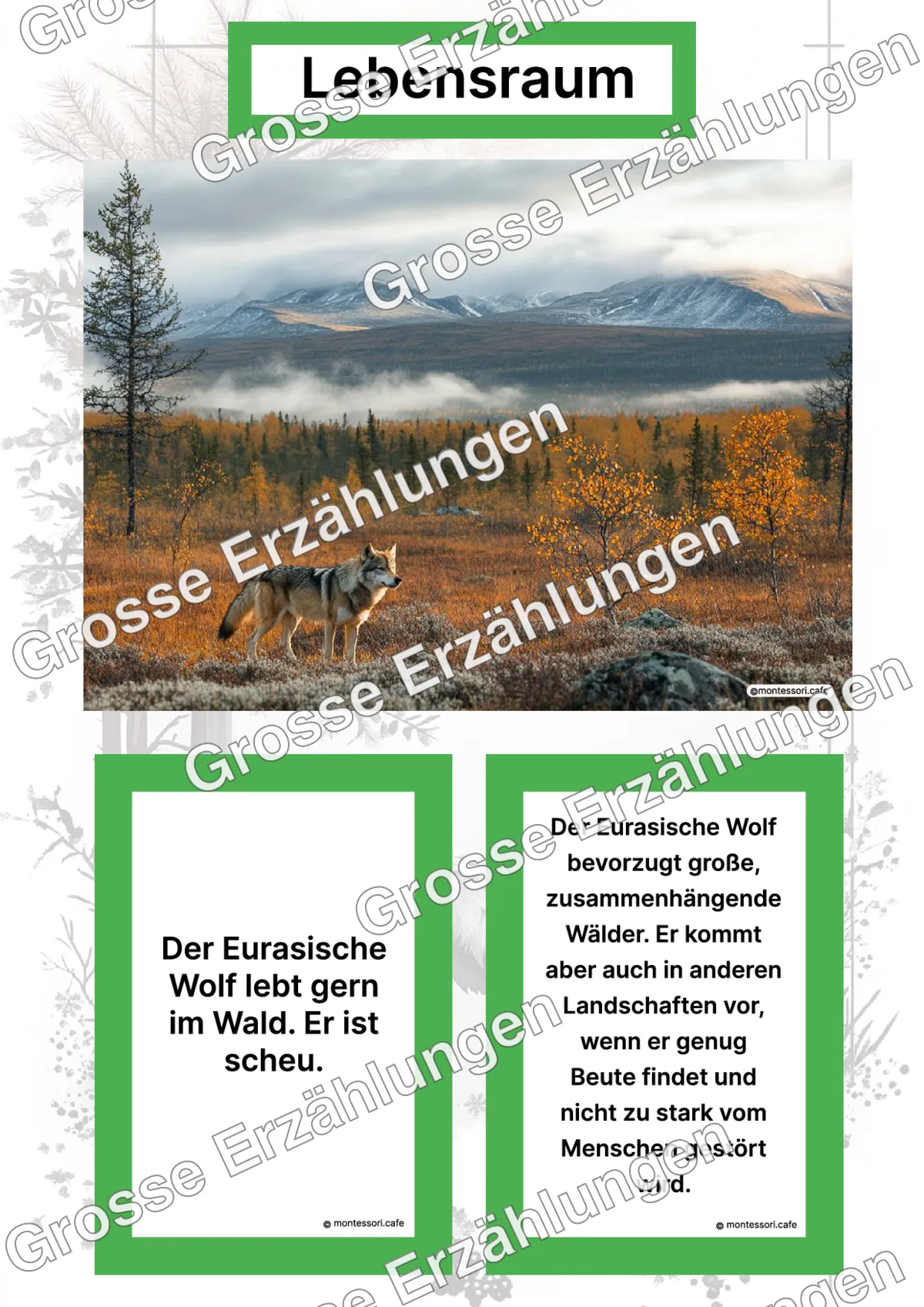 Der Eurasische Wolf - Lernkarten - Letzte Vorschauseite des PDF-Downloads