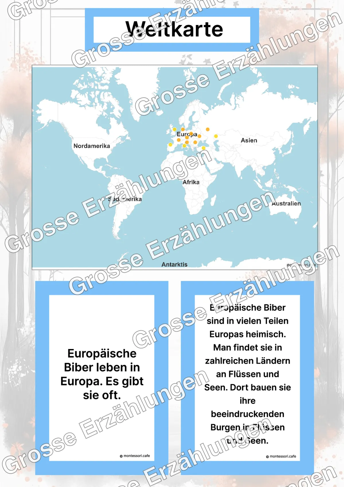 Der Europäische Biber - Lernkarten - Inhaltsbeispiel Seite 2 mit Montessori Lehrmaterial
