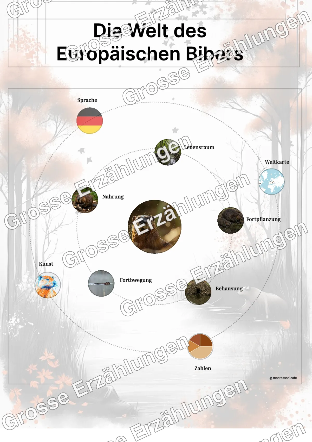Der Europäische Biber - Lernkarten - Beispielseite 3 von 5 mit Kommen des Lebens Inhalten