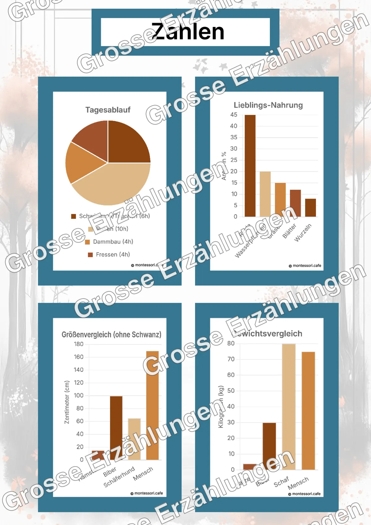 Der Europäische Biber - Lernkarten - Beispielseite 4 von 5 mit Kommen des Lebens Inhalten
