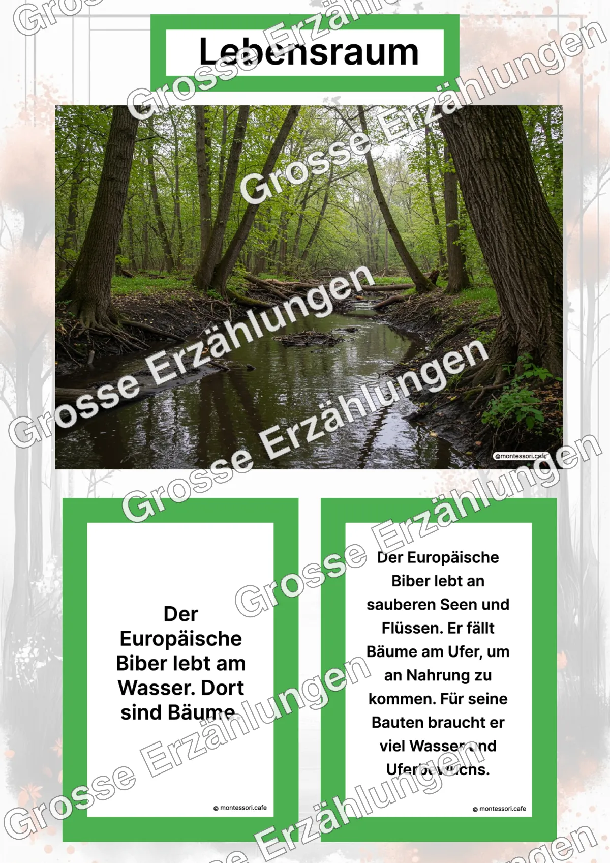 Der Europäische Biber - Lernkarten - Letzte Vorschauseite des PDF-Downloads