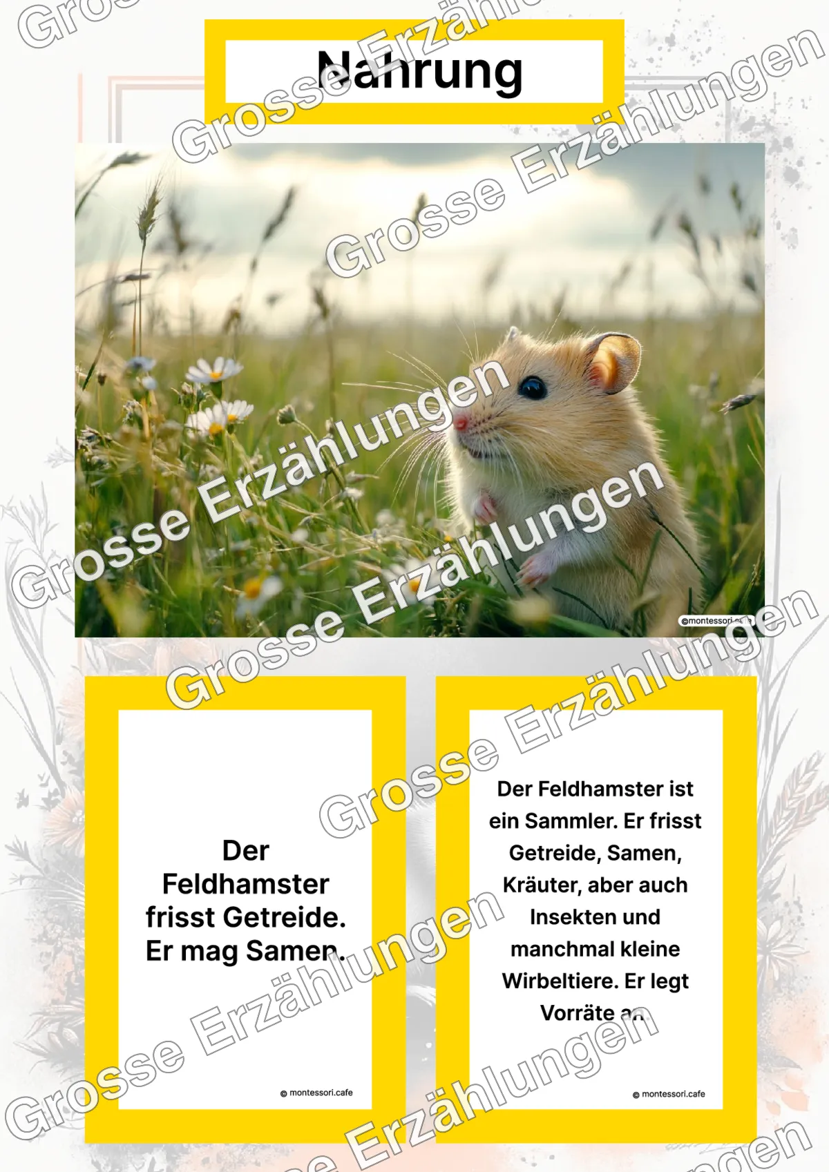 Der Feldhamster - Lernkarten - Titelseite und Übersicht des Kommen des Lebens Lernmaterials