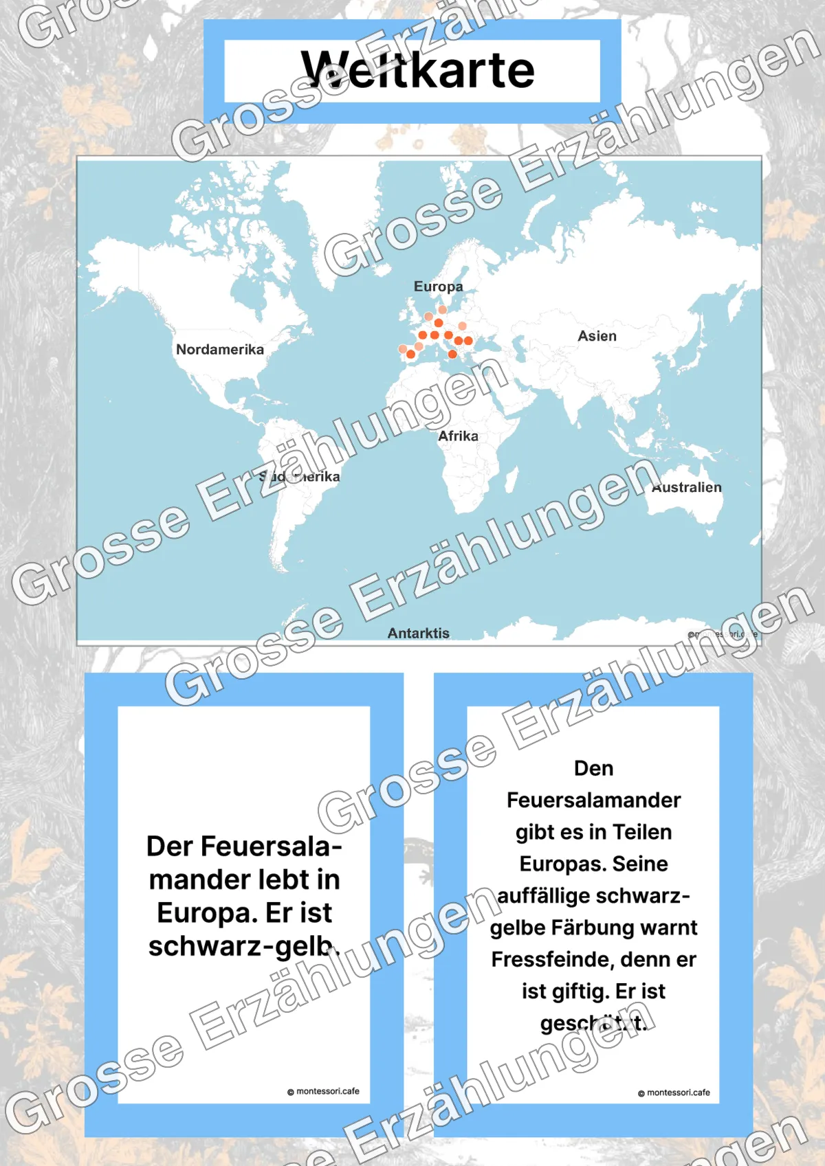 Der Feuersalamander - Lernkarten - Inhaltsbeispiel Seite 2 mit Montessori Lehrmaterial