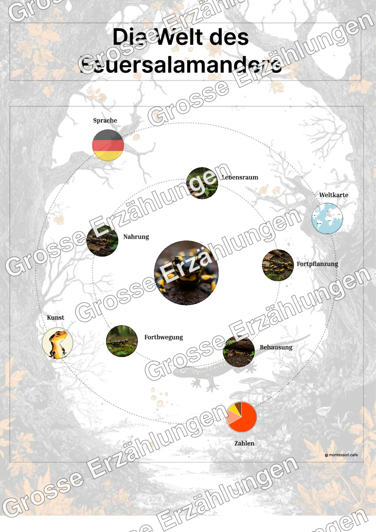 Der Feuersalamander - Lernkarten - Beispielseite 3 von 5 mit Kommen des Lebens Inhalten