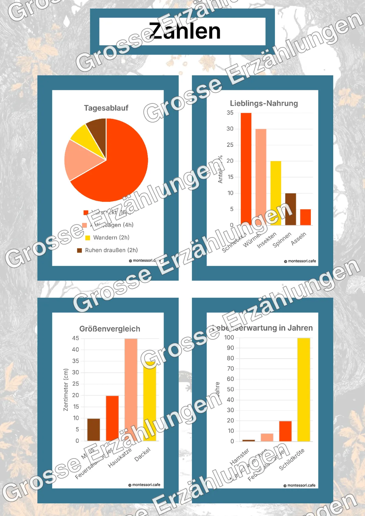 Der Feuersalamander - Lernkarten - Beispielseite 4 von 5 mit Kommen des Lebens Inhalten