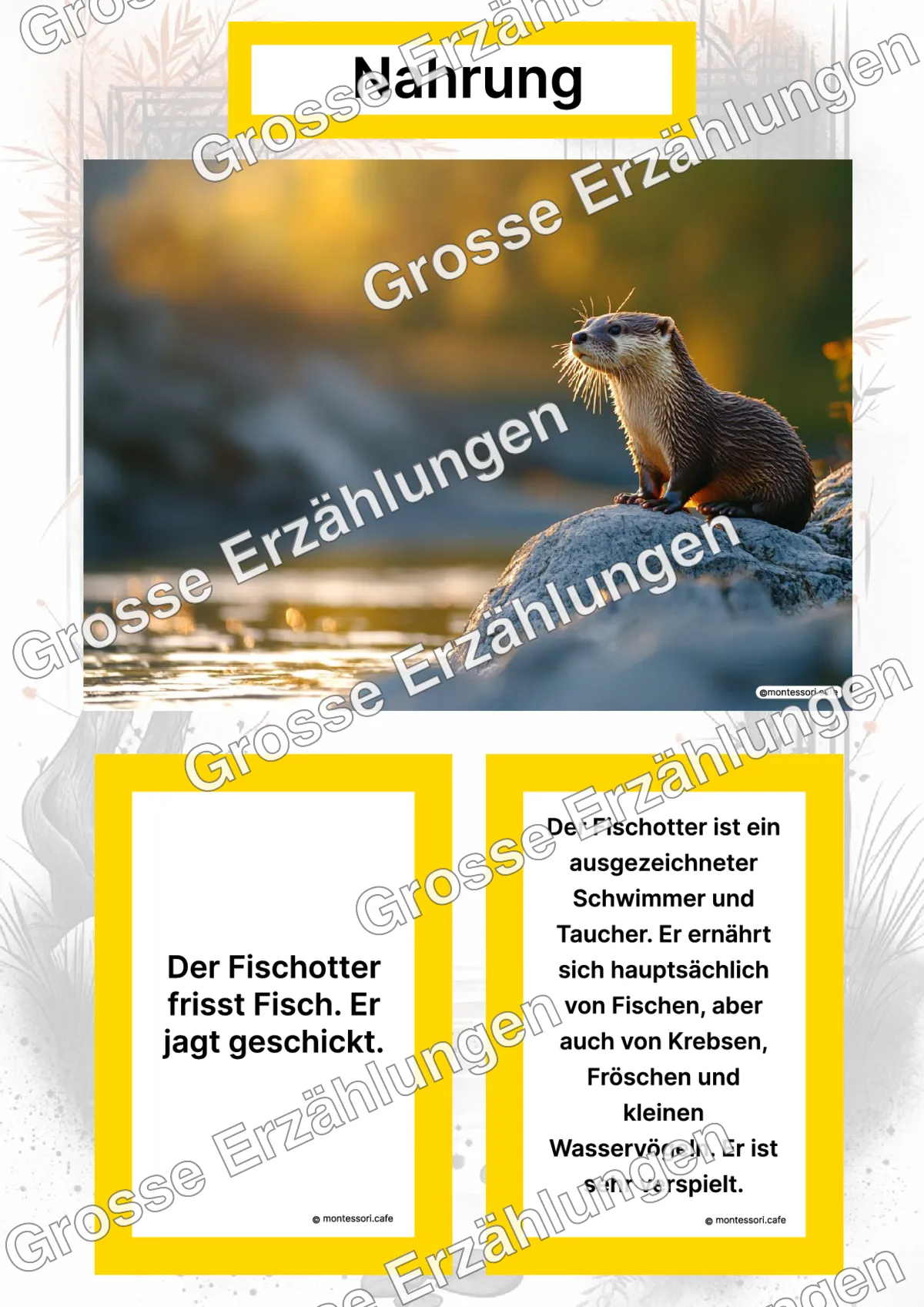 Der Fischotter - Lernkarten - Titelseite und Übersicht des Kommen des Lebens Lernmaterials